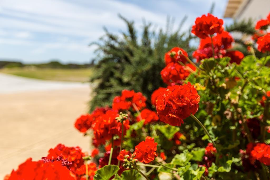 Wytonia Beachfront Accommodation Port Fairy Luaran gambar